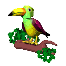 parrot assistant